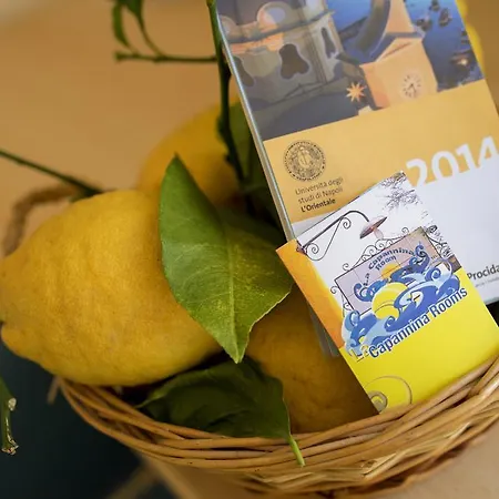 La Capannina Bed & Breakfast